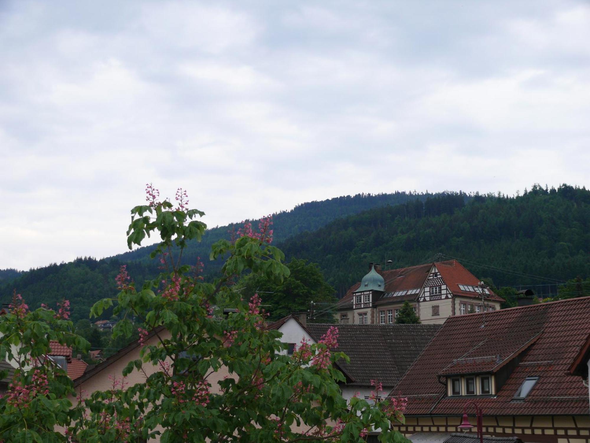 Hotel - Restaurant - Metzgerei Sonne Loffenau Номер фото